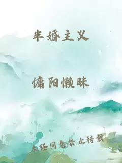 半婚主义